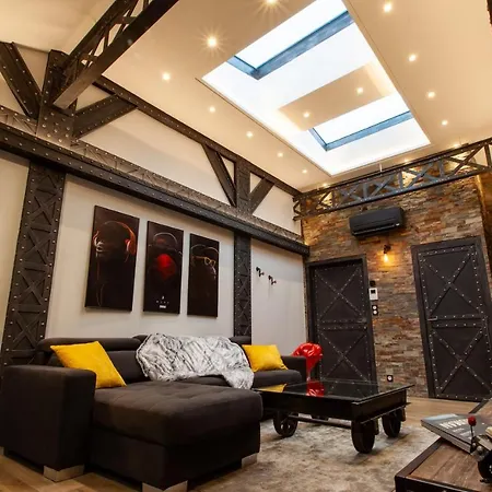 Oluxuxy49 - T3 De Prestige, Place Du Ralliement, 2eme 3eme Et 4eme Etage Sans Ascenseur Apartament Angers